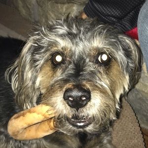 Meet your Posher, Chrissy